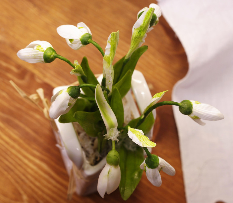 подснежники...