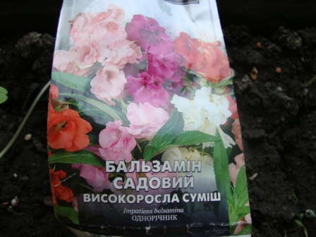 Про цветы и прочие растения