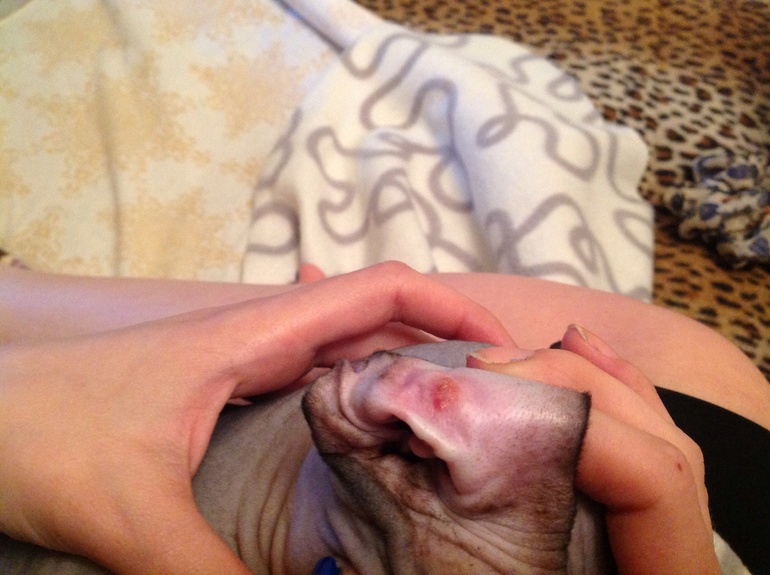 Странные пузырьки