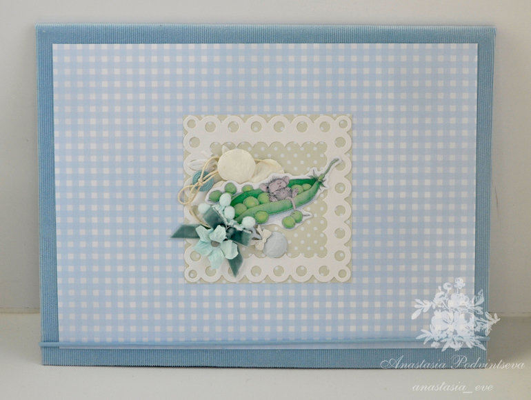 Папка для документов и рамка с метрикой