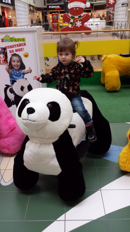 Новости в 2,4