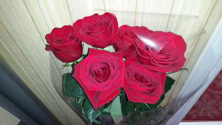 С днем рождения,меня!!!!!