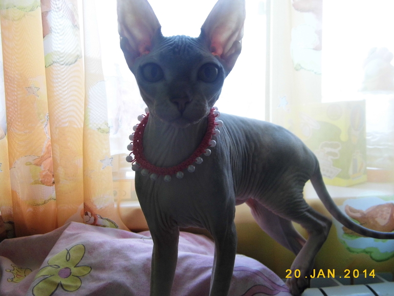 нашей девочке 6 мес))))