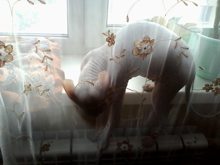 нашей девочке 8 мес.