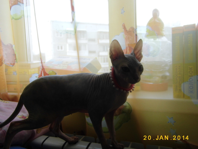 нашей девочке 6 мес))))