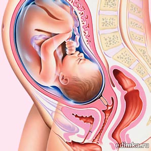 Приглашаю принять участие в интересном исследовании для беременных женщин