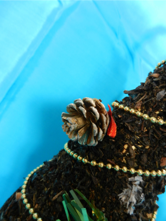 Прошлогодняя елочка