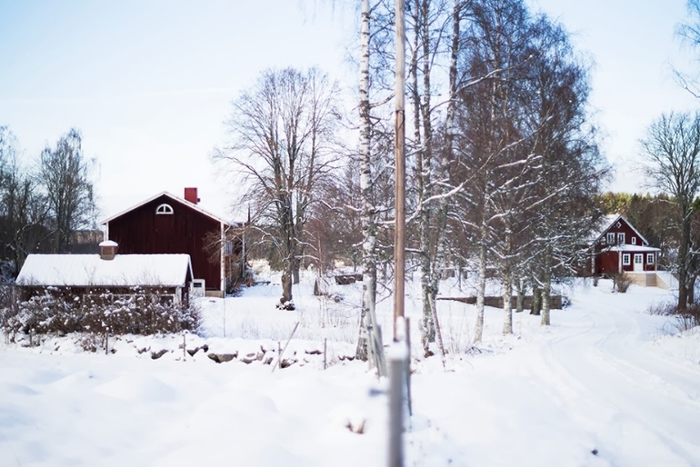 Вкусное. Зимнее