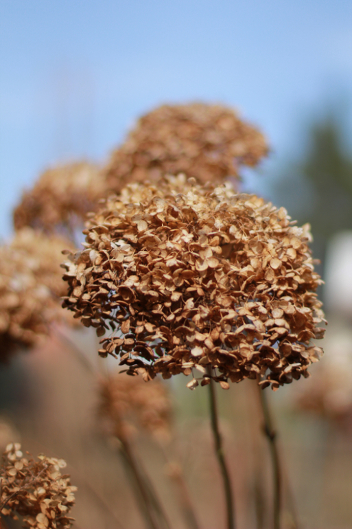 Фотопост весенний