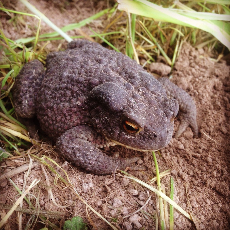 Кому живую приманочку?!)