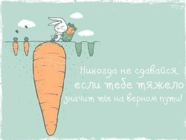 Летний марафон. отчёт 24.06.2014