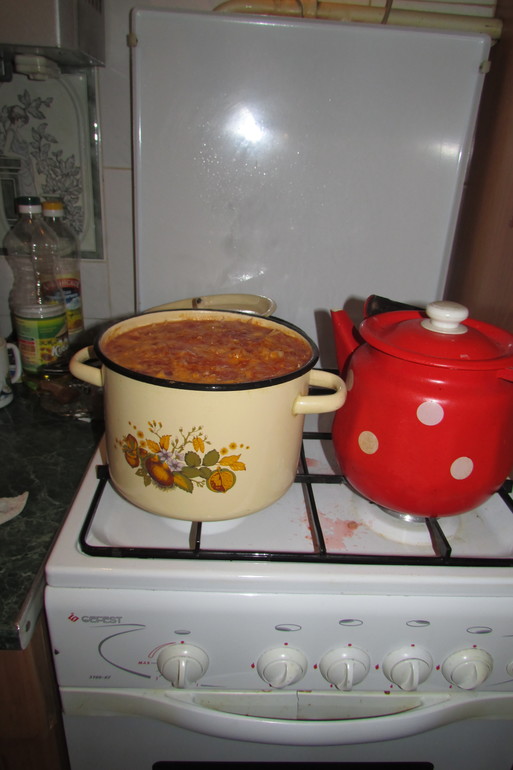 Один день из жизни Флайледи