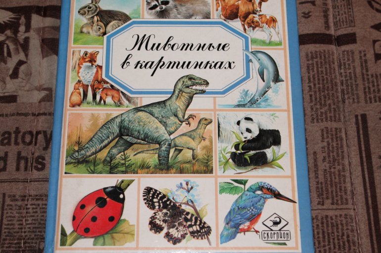 книжное счастье