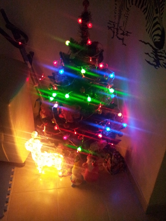 Новый 2014 год в Минске