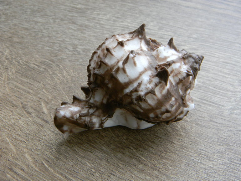 Новые формы