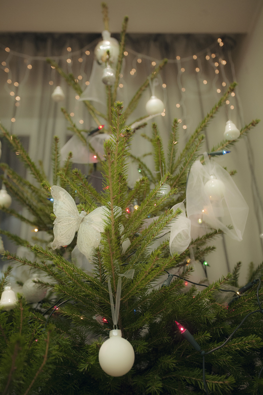 Рождственский пост