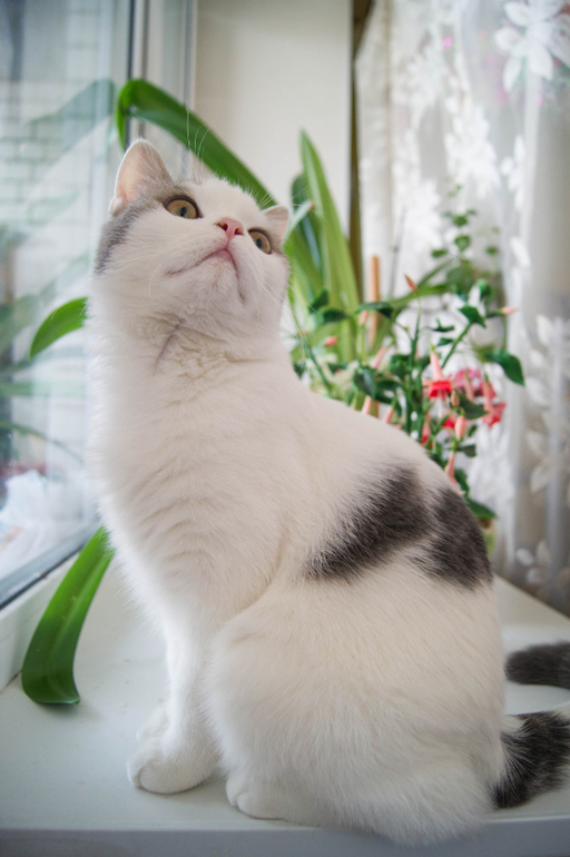 Контрольное задание № 7. Корректируем фотографию при помощи кривых