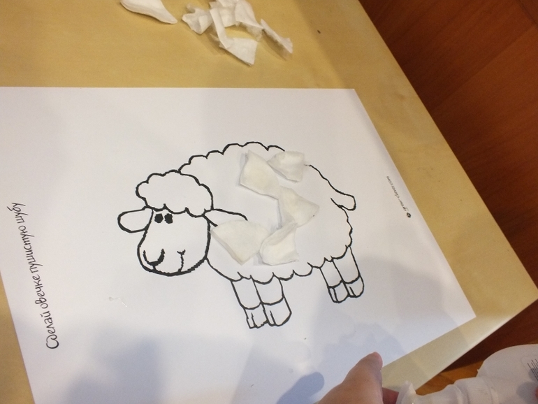 ТН Домашние животные.