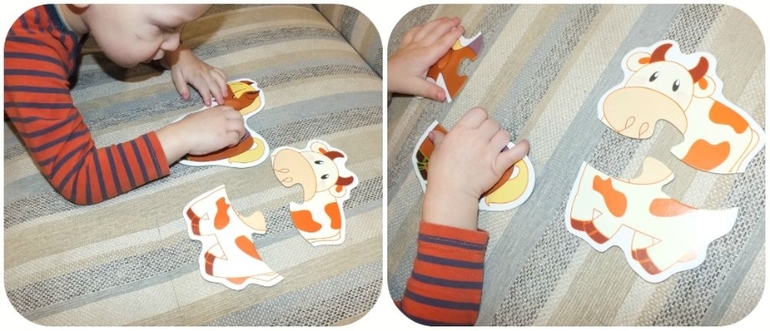 ТН Домашние животные.