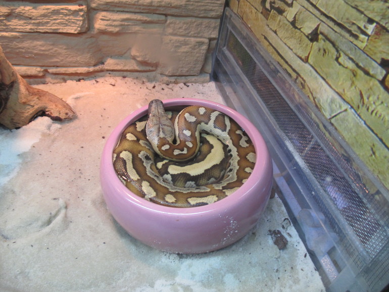 Интересно!! Избариум в Красногорске