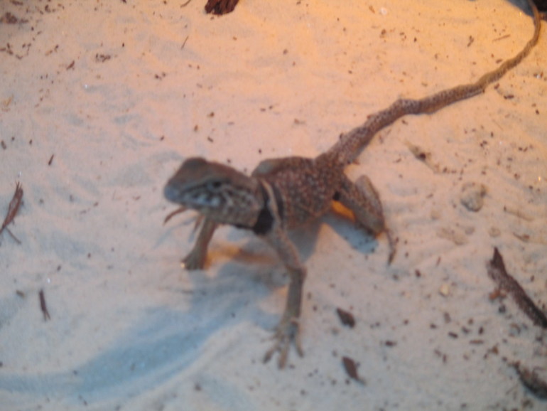 Интересно!! Избариум в Красногорске