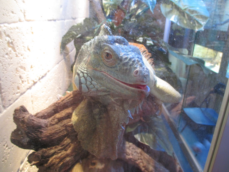 Интересно!! Избариум в Красногорске