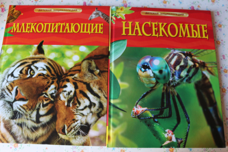 Пополнение детской домашней библиотеки.