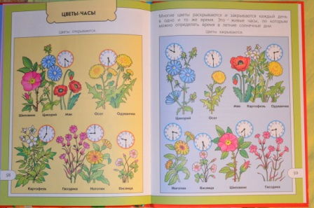 Из последнего. На вырост)