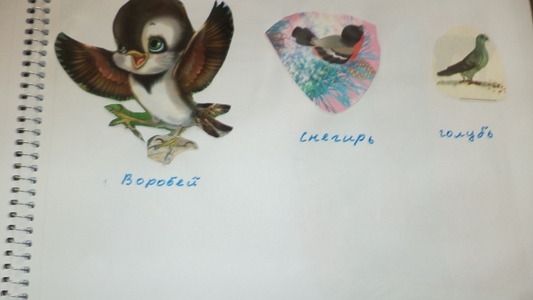 Наш зимний альбом.