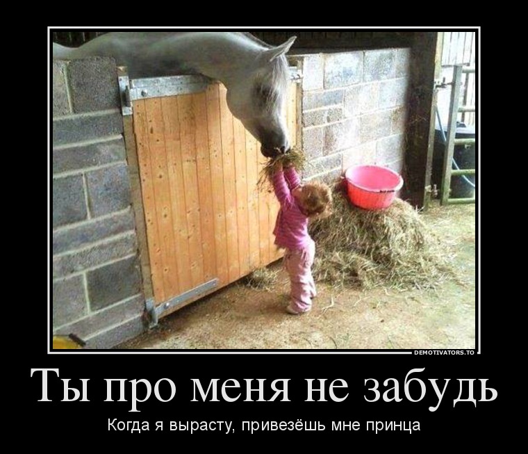 просто милое фото