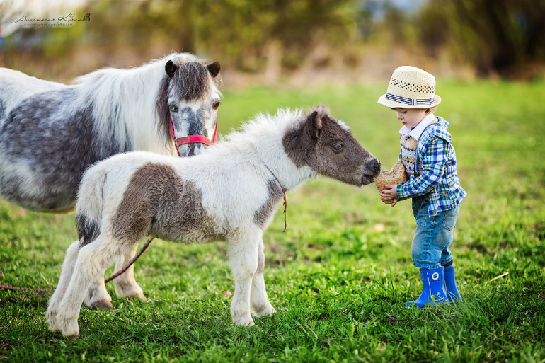 Маленькие дети с маленькими лошадками