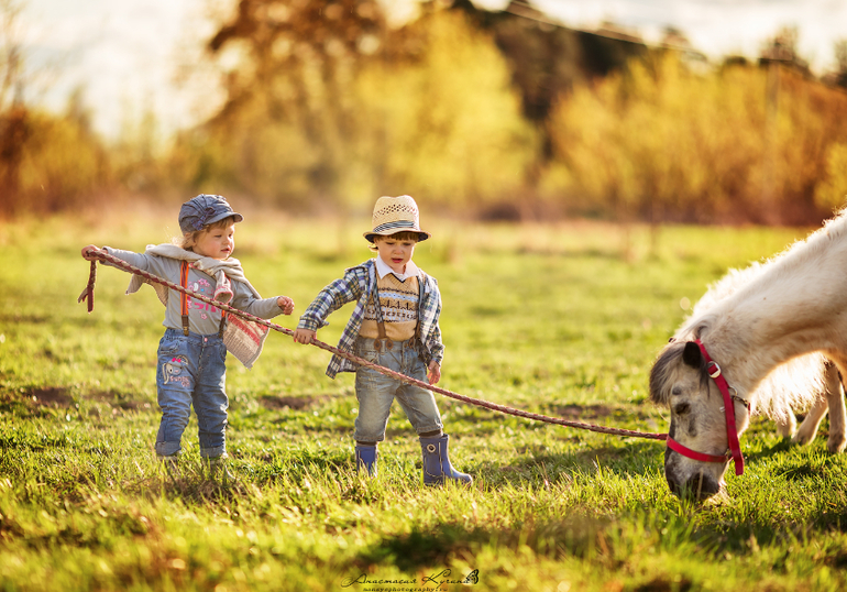 Маленькие дети с маленькими лошадками