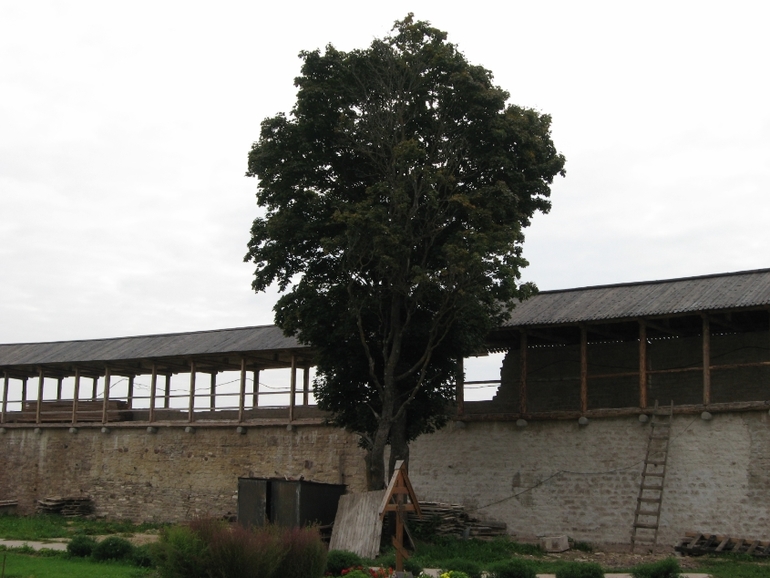 Изборск - Изборская крепость