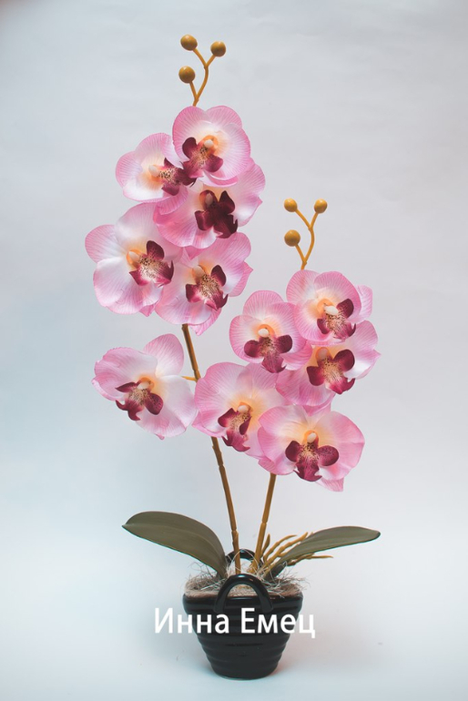 Орхидеи