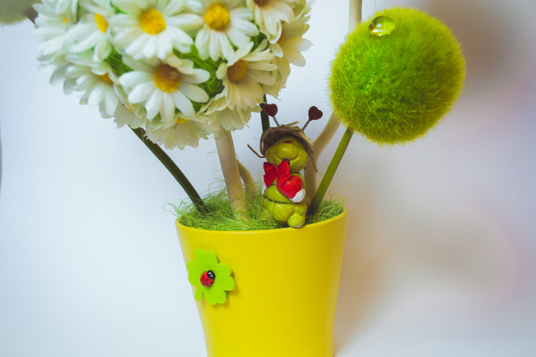 Ромашки...ромашки...ромашки..