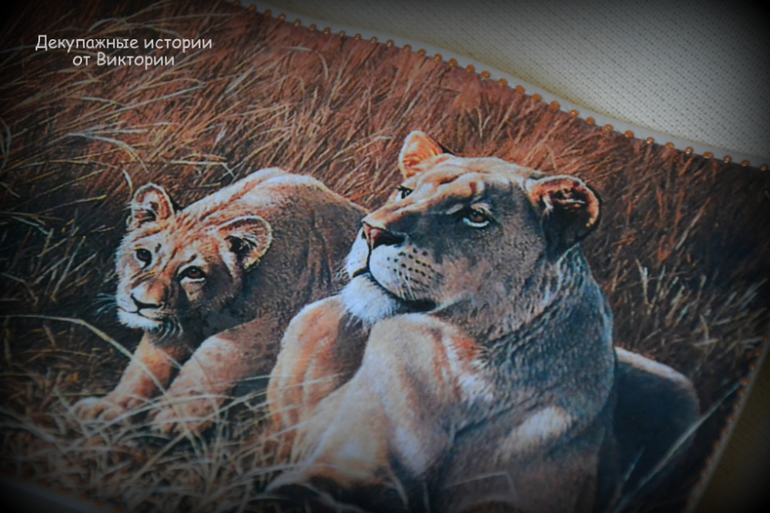 Обложка на паспорт "Прайд"