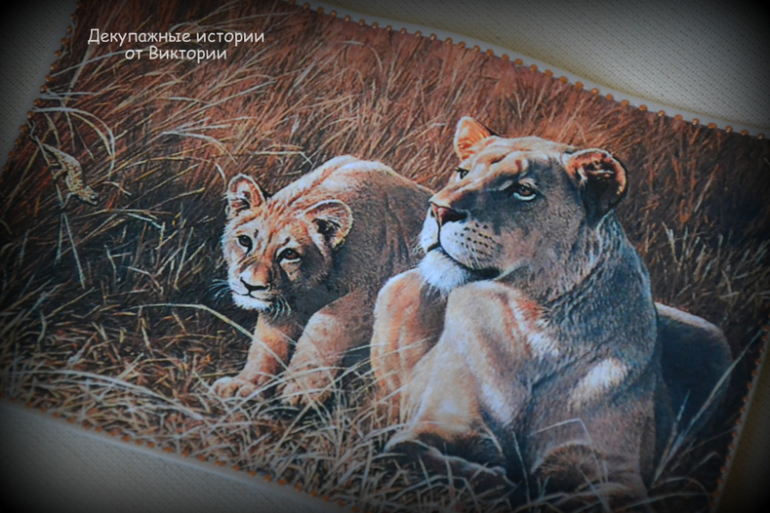 Обложка на паспорт "Прайд"