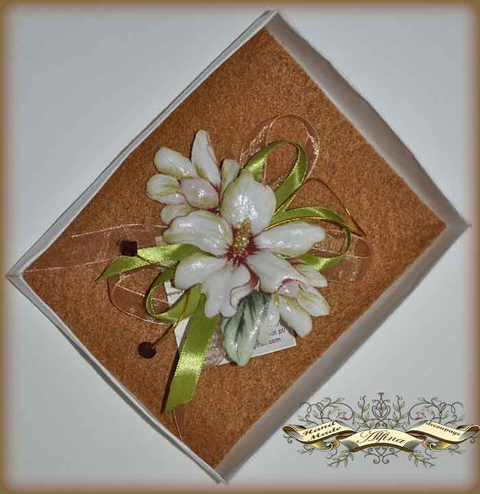 Броши, брошки, брошечки....