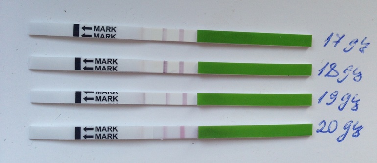 Девочки, нужен опытный взгляд:)