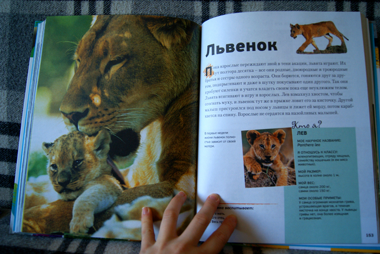 Энциклопедия животных для детей