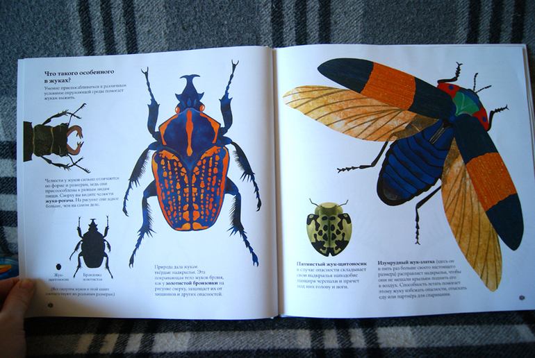 Наши новиночки