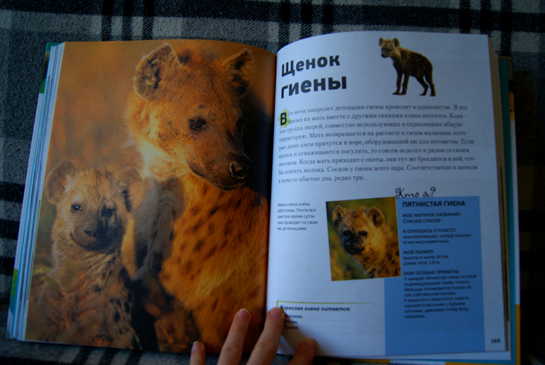 Энциклопедия животных для детей