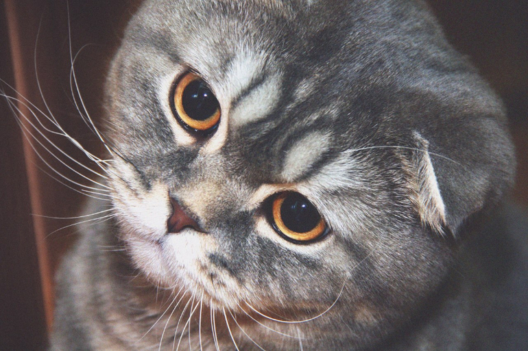 Химия. Для уборки.