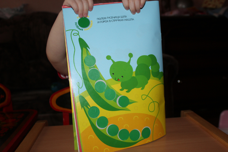 ТН "Насекомые". Пятый день.