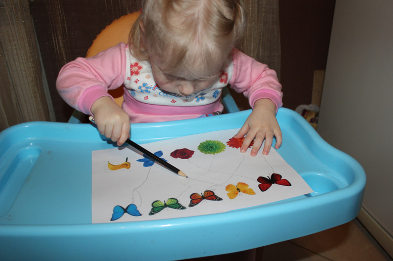 ТД "Бабочка"