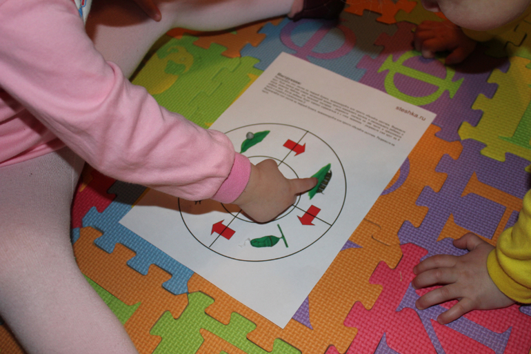 ТД "Бабочка"