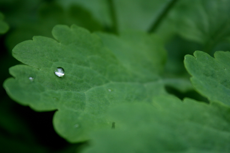 После Дождя