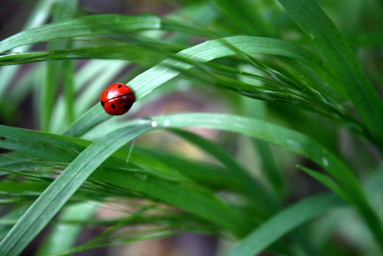 После Дождя