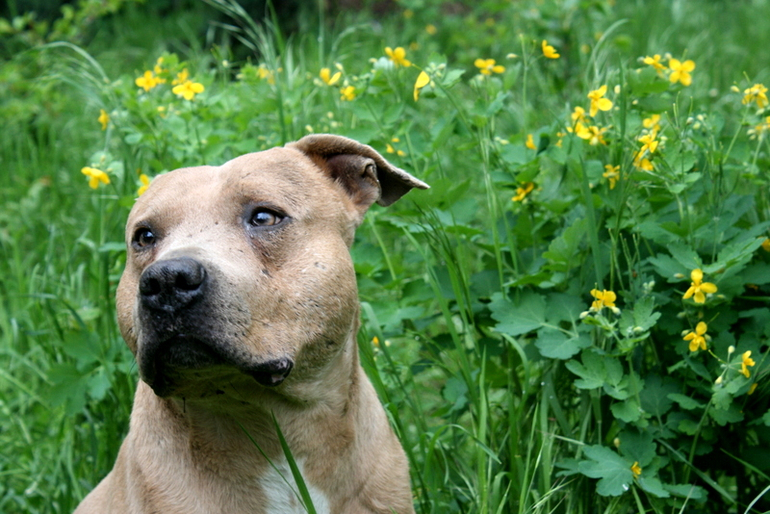 После Дождя