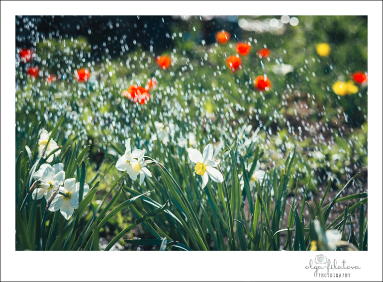 Настя - Том Сойер или хорошо в саду весной ) Часть 2.